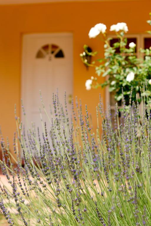 Little Tuscany Boutique Hotel Йоганнесбурґ Екстер'єр фото